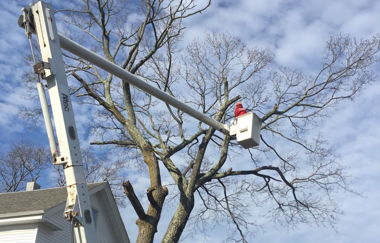 SJ Tree Service