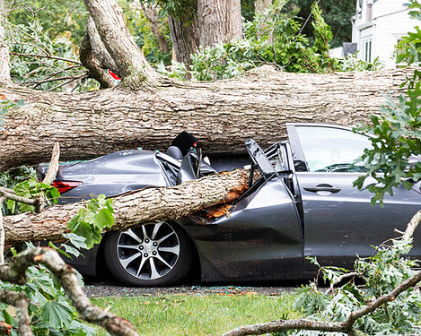 SJ Tree Service