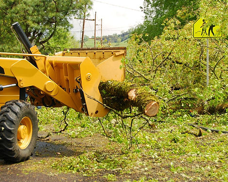 SJ Tree Service