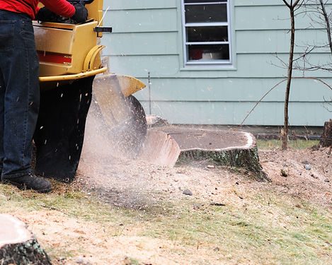 SJ Tree Service
